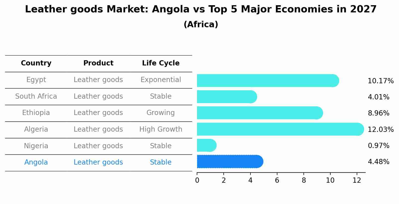 Leather goods Market: Angola vs Top 5 Major Economies in 2027 (Africa)