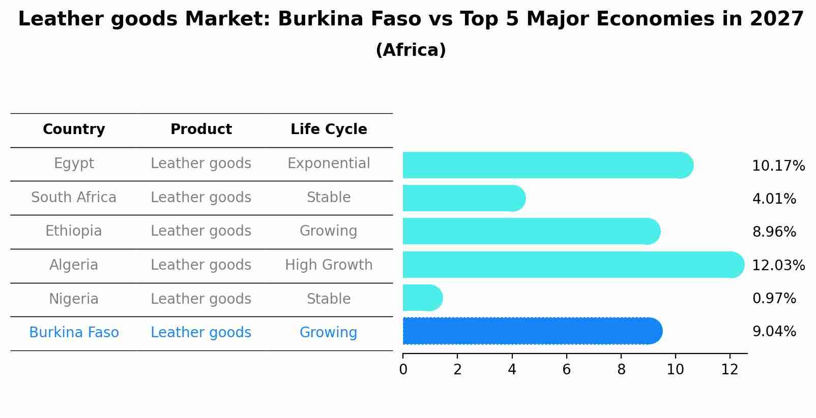 Leather goods Market: Burkina Faso vs Top 5 Major Economies in 2027 (Africa)