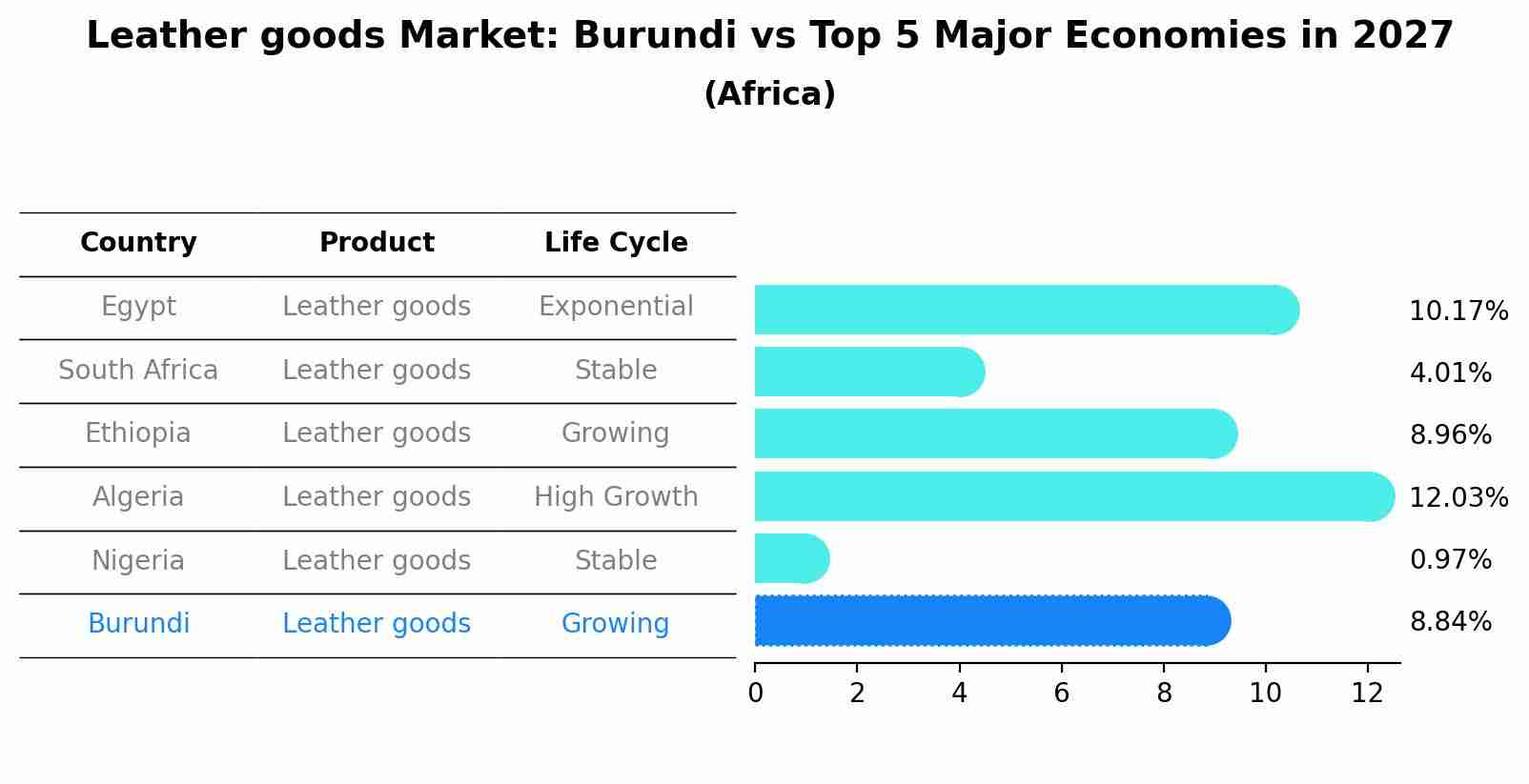 Leather goods Market: Burundi vs Top 5 Major Economies in 2027 (Africa)