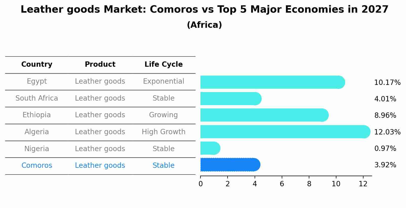 Leather goods Market: Comoros vs Top 5 Major Economies in 2027 (Africa)