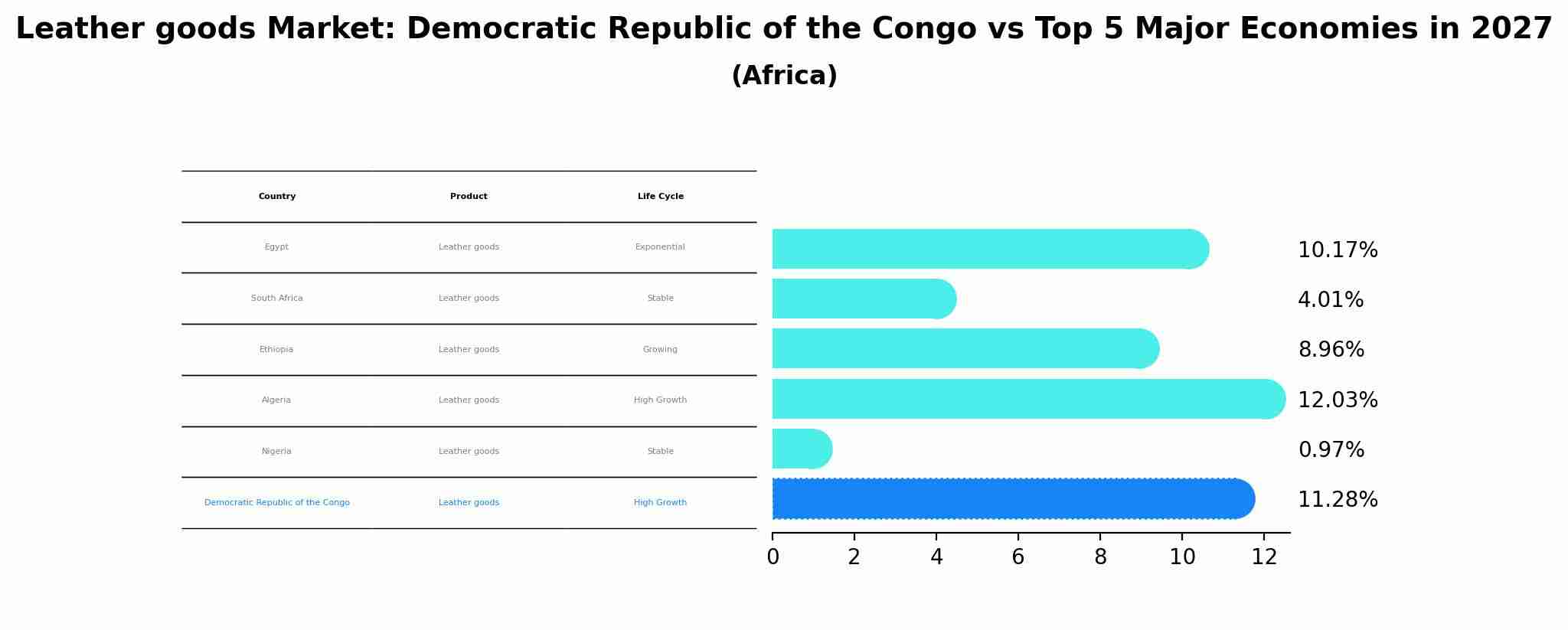 Leather goods Market: Democratic Republic of the Congo vs Top 5 Major Economies in 2027 (Africa)
