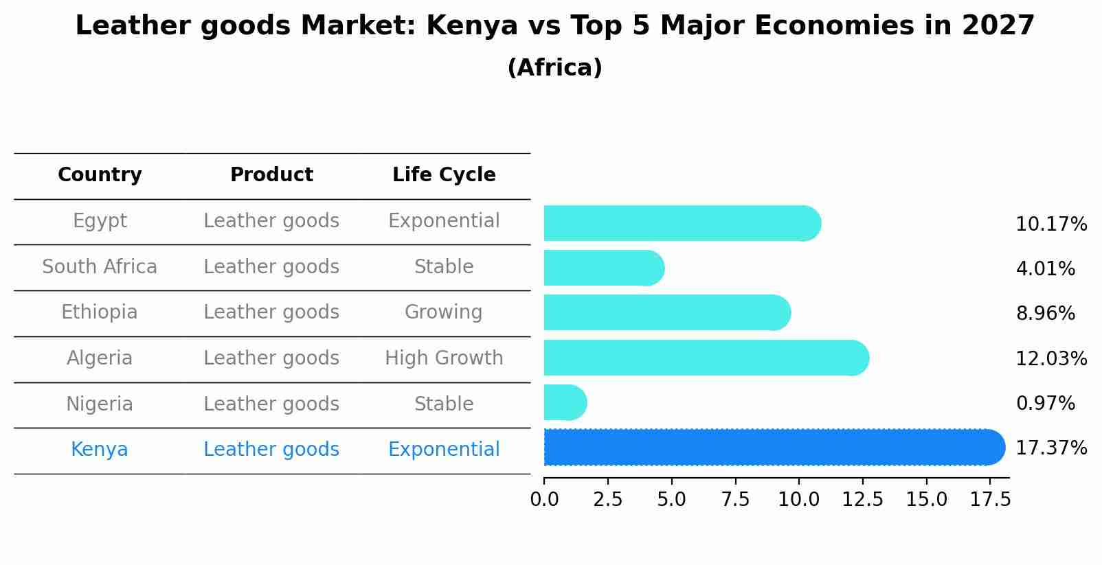 Leather goods Market: Kenya vs Top 5 Major Economies in 2027 (Africa)