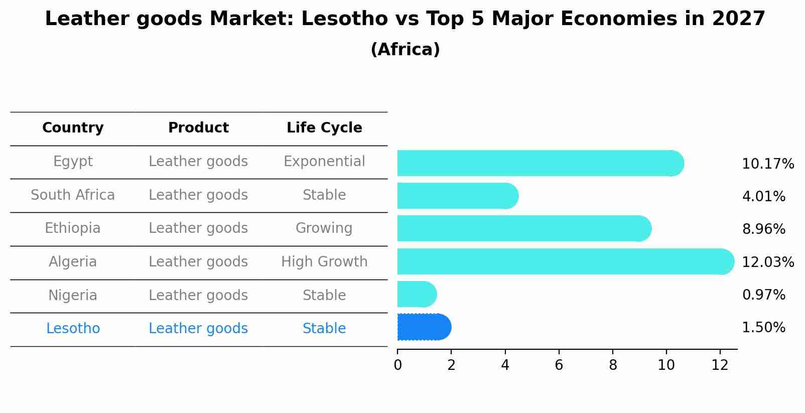 Leather goods Market: Lesotho vs Top 5 Major Economies in 2027 (Africa)