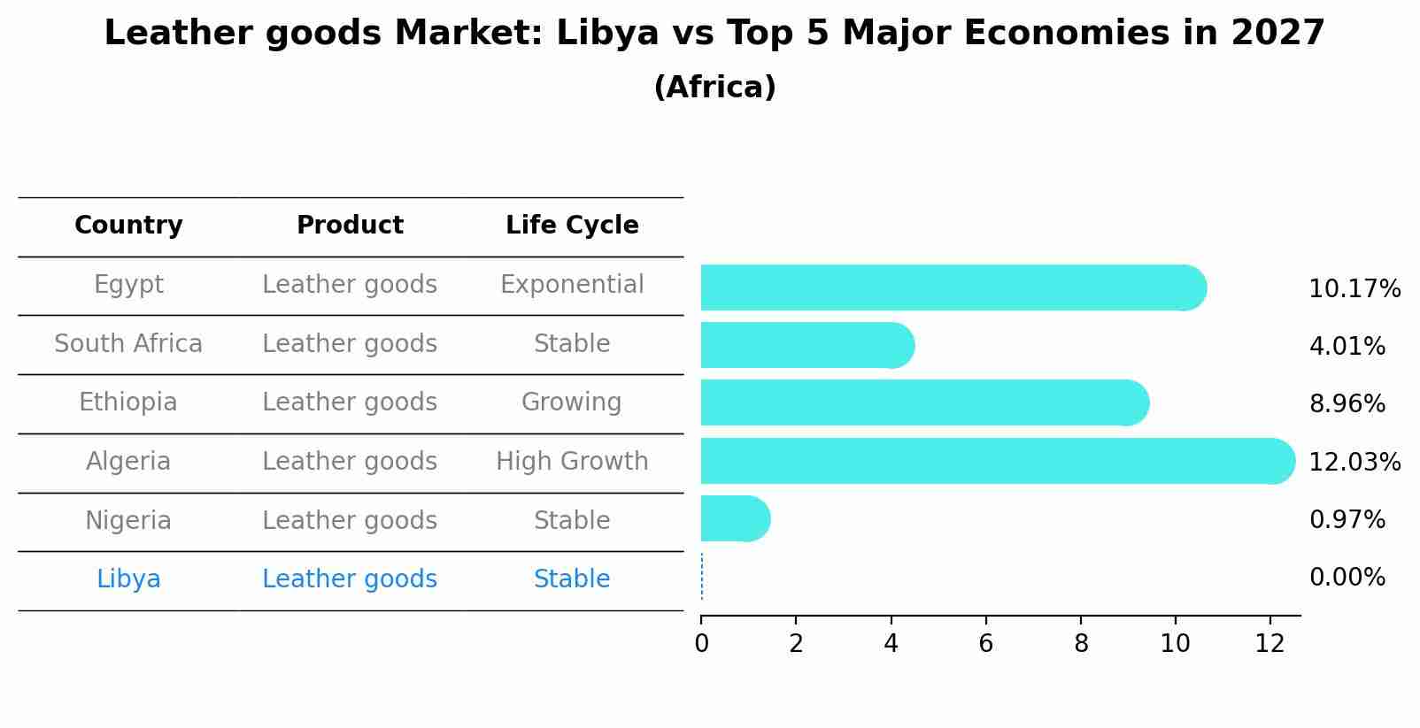 Leather goods Market: Libya vs Top 5 Major Economies in 2027 (Africa)