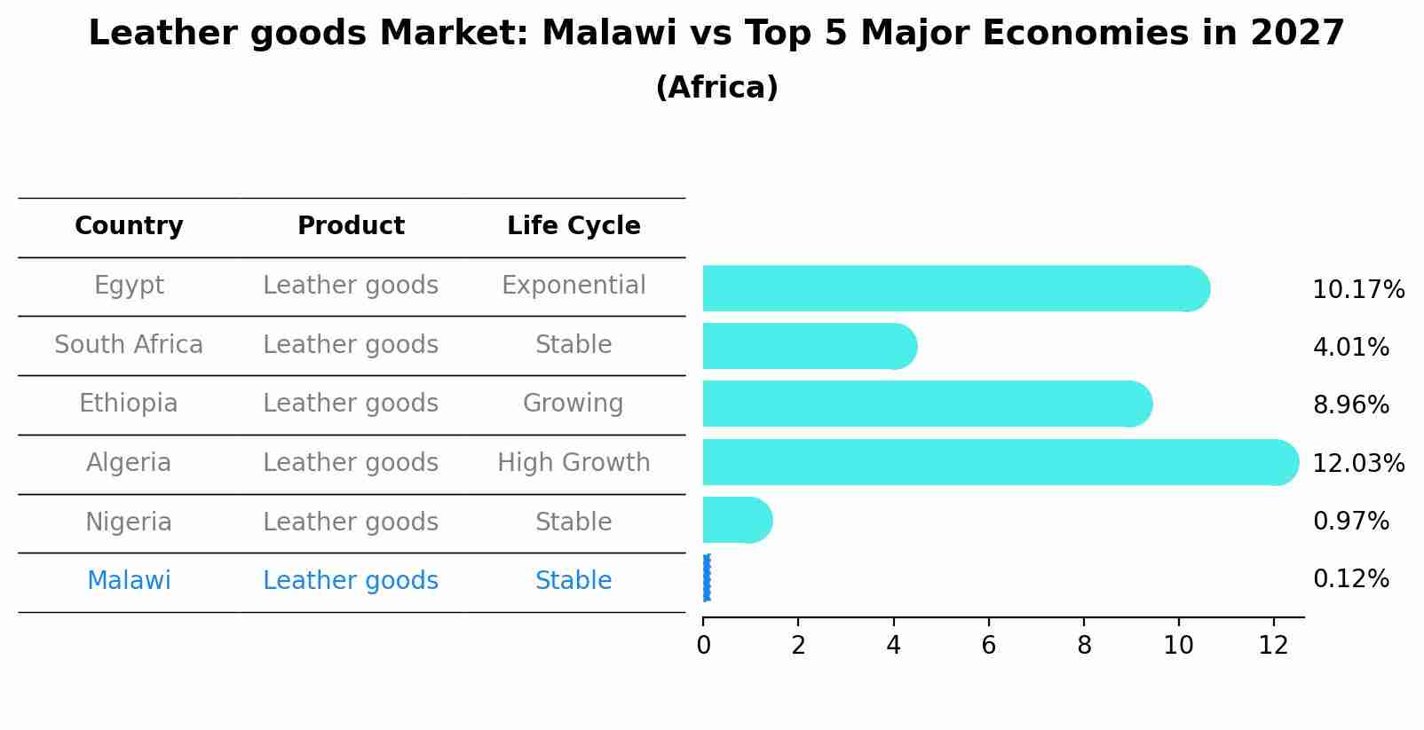 Leather goods Market: Malawi vs Top 5 Major Economies in 2027 (Africa)