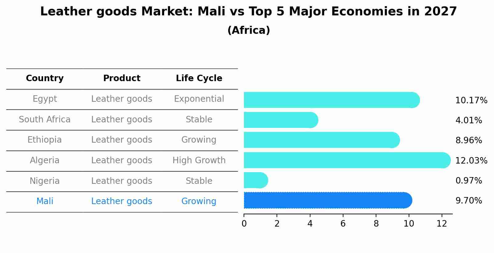 Leather goods Market: Mali vs Top 5 Major Economies in 2027 (Africa)