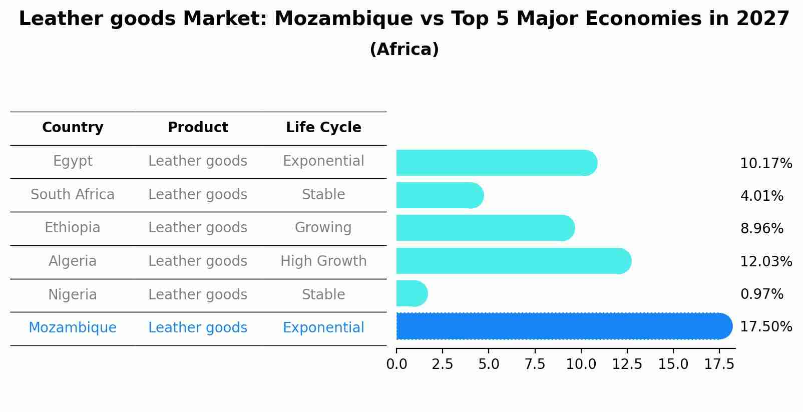 Leather goods Market: Mozambique vs Top 5 Major Economies in 2027 (Africa)
