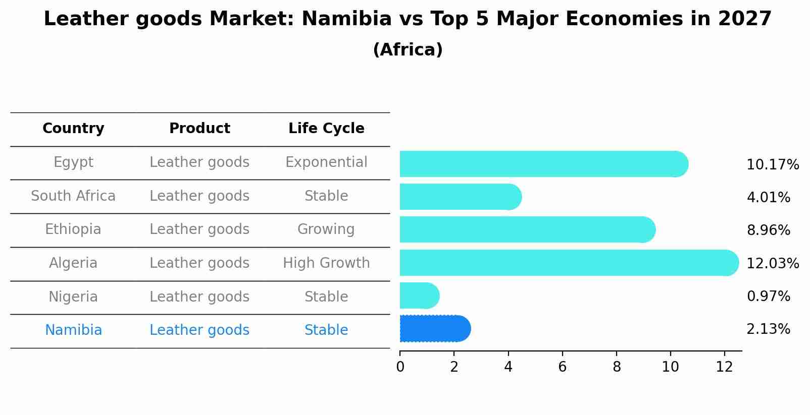 Leather goods Market: Namibia vs Top 5 Major Economies in 2027 (Africa)