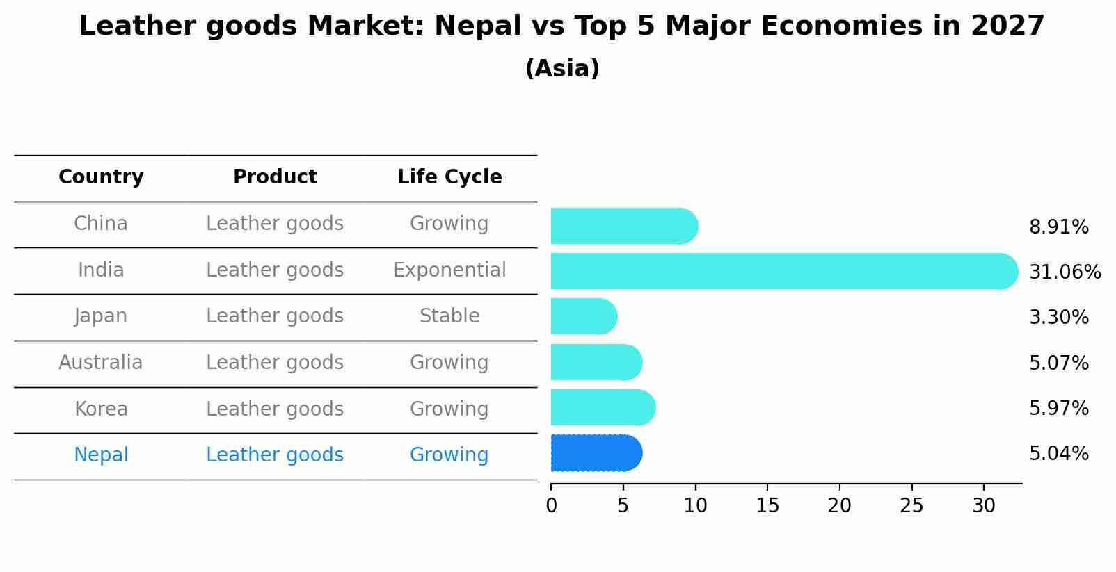 Leather goods Market: Nepal vs Top 5 Major Economies in 2027 (Asia)