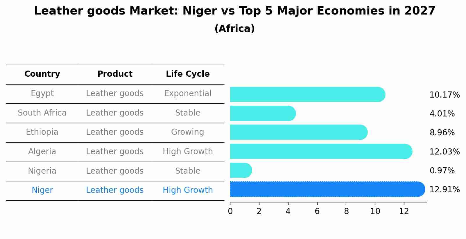 Leather goods Market: Niger vs Top 5 Major Economies in 2027 (Africa)