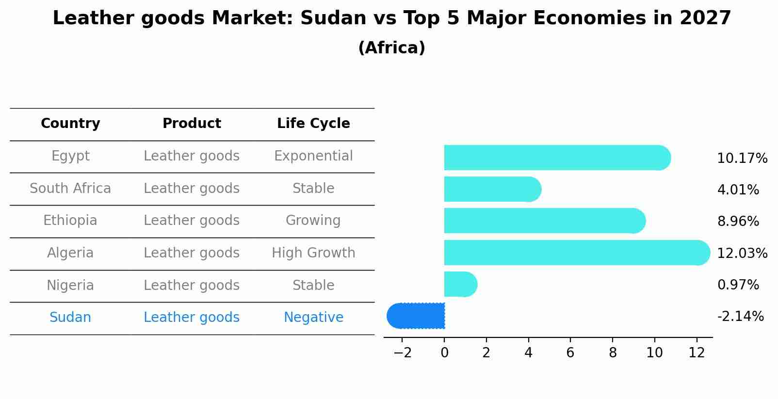 Leather goods Market: Sudan vs Top 5 Major Economies in 2027 (Africa)