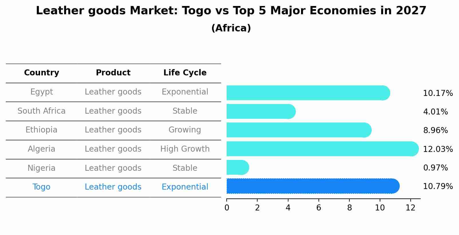 Leather goods Market: Togo vs Top 5 Major Economies in 2027 (Africa)