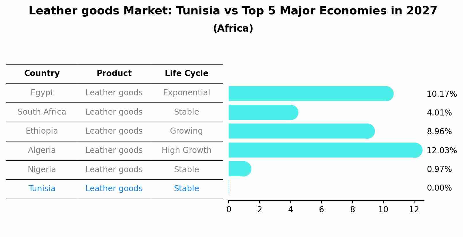 Leather goods Market: Tunisia vs Top 5 Major Economies in 2027 (Africa)