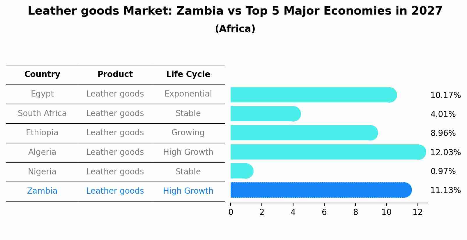 Leather goods Market: Zambia vs Top 5 Major Economies in 2027 (Africa)