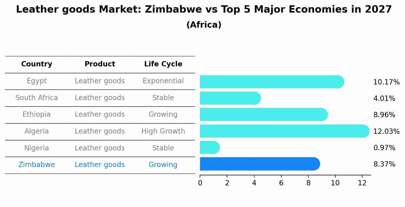 Leather goods Market: Zimbabwe vs Top 5 Major Economies in 2027 (Africa)