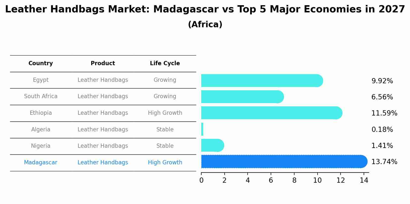 Leather Handbags Market: Madagascar vs Top 5 Major Economies in 2027 (Africa)