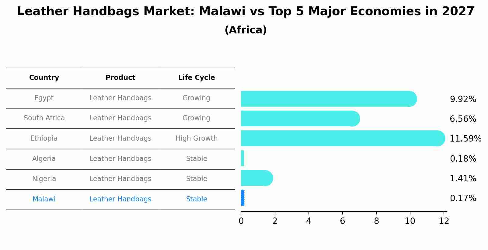 Leather Handbags Market: Malawi vs Top 5 Major Economies in 2027 (Africa)