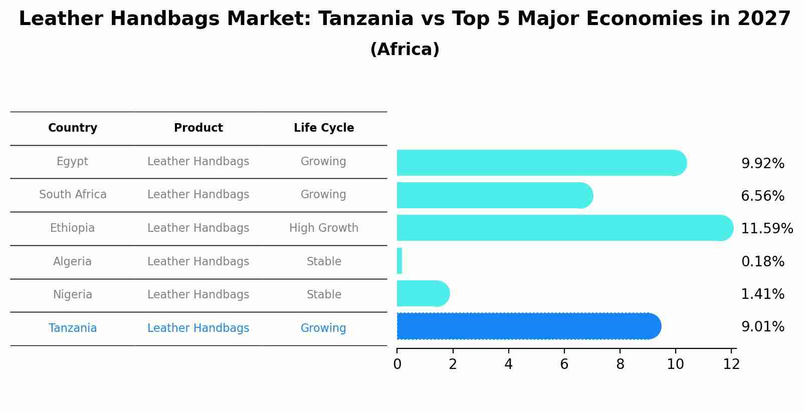 Leather Handbags Market: Tanzania vs Top 5 Major Economies in 2027 (Africa)