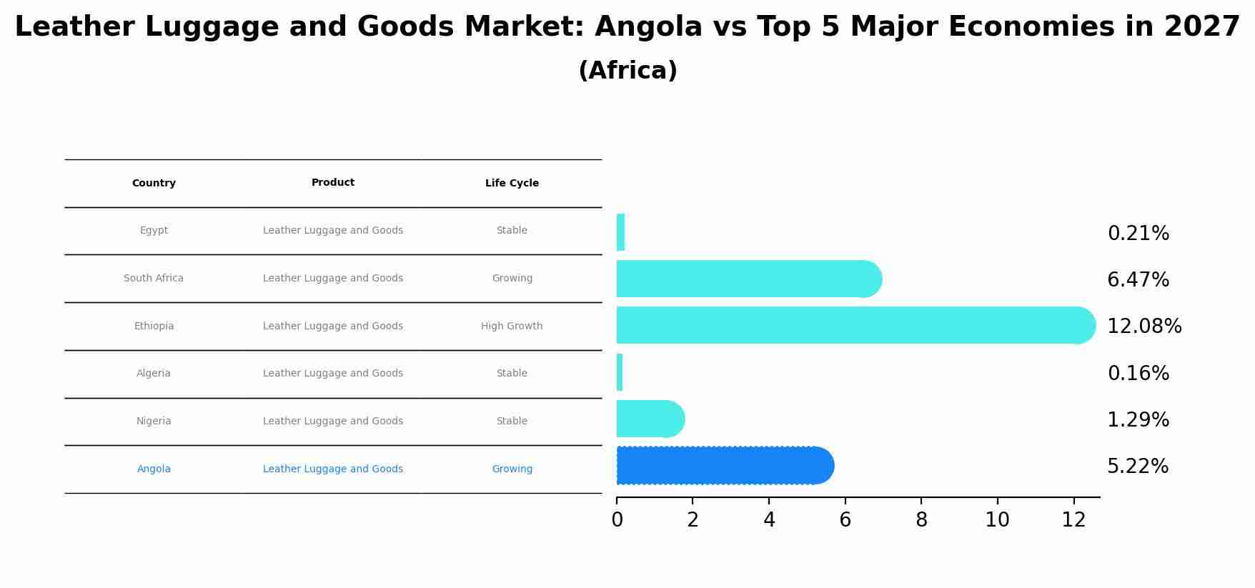 Leather Luggage and Goods Market: Angola vs Top 5 Major Economies in 2027 (Africa)