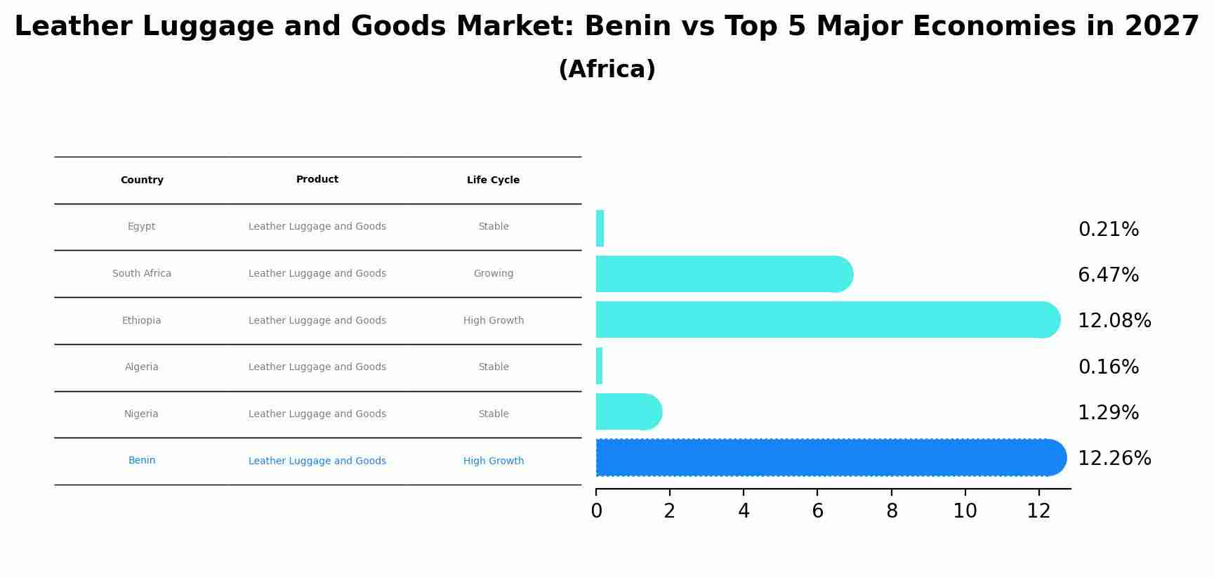 Leather Luggage and Goods Market: Benin vs Top 5 Major Economies in 2027 (Africa)