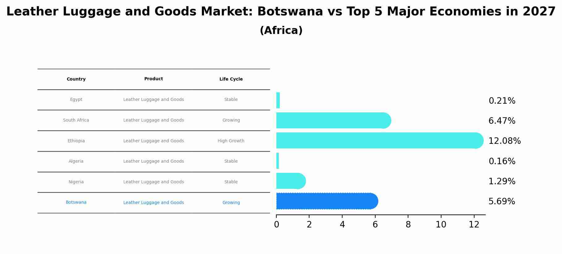 Leather Luggage and Goods Market: Botswana vs Top 5 Major Economies in 2027 (Africa)