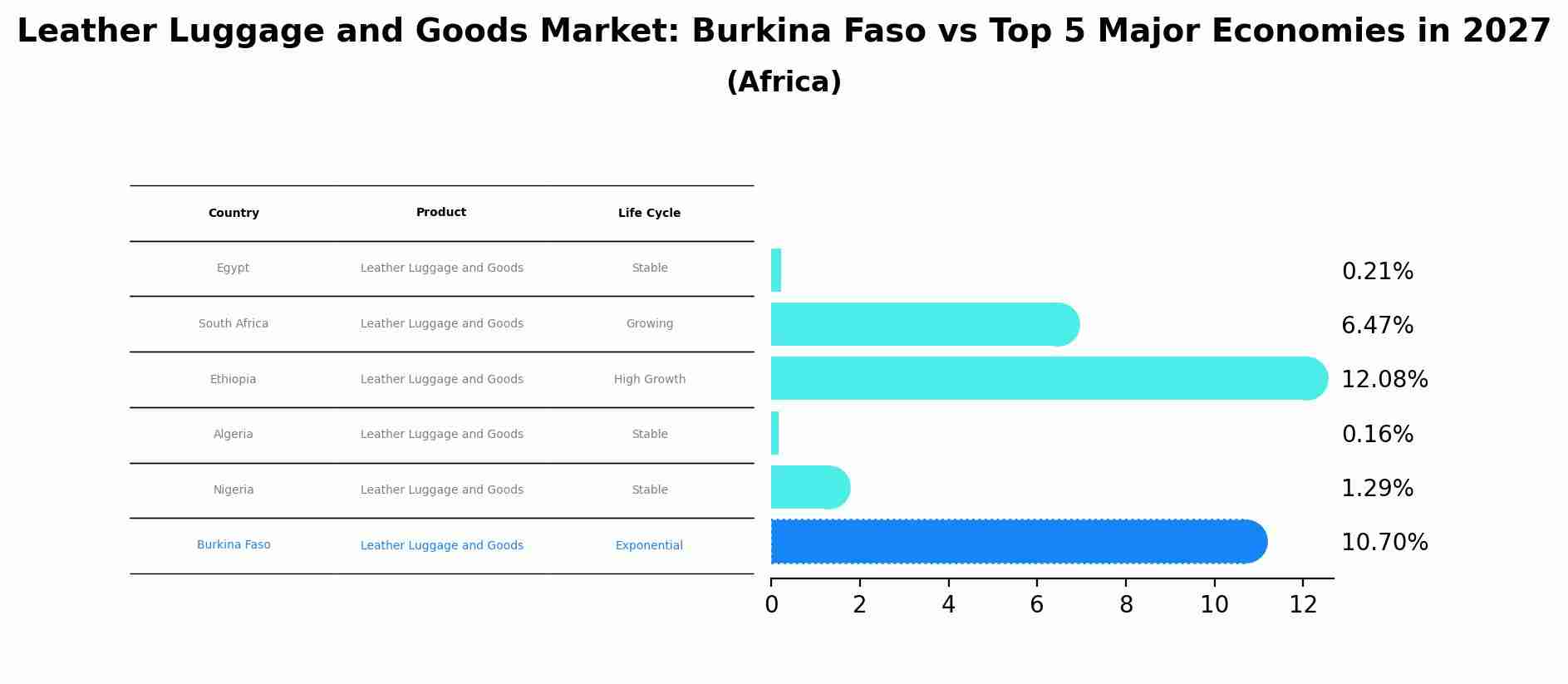 Leather Luggage and Goods Market: Burkina Faso vs Top 5 Major Economies in 2027 (Africa)