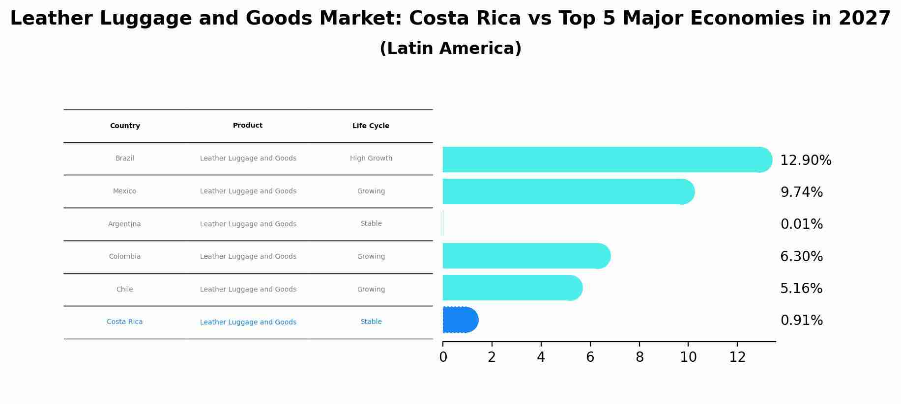 Leather Luggage and Goods Market: Costa Rica vs Top 5 Major Economies in 2027 (Latin America)