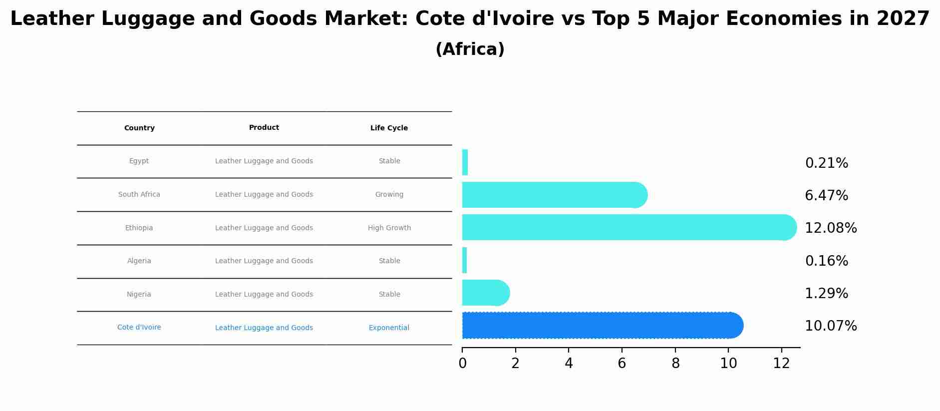 Leather Luggage and Goods Market: Cote d'Ivoire vs Top 5 Major Economies in 2027 (Africa)