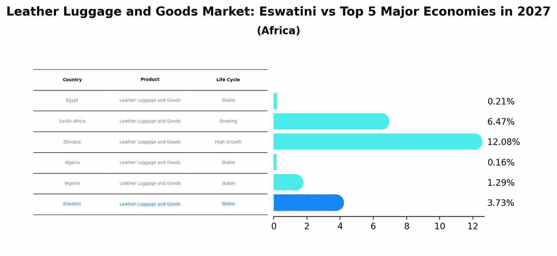 Leather Luggage and Goods Market: Eswatini vs Top 5 Major Economies in 2027 (Africa)