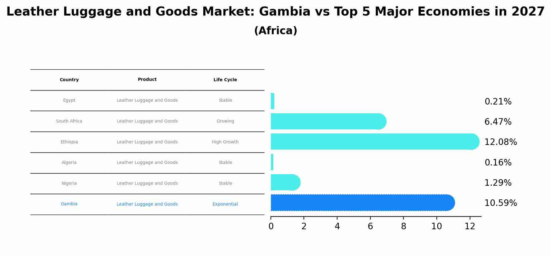 Leather Luggage and Goods Market: Gambia vs Top 5 Major Economies in 2027 (Africa)