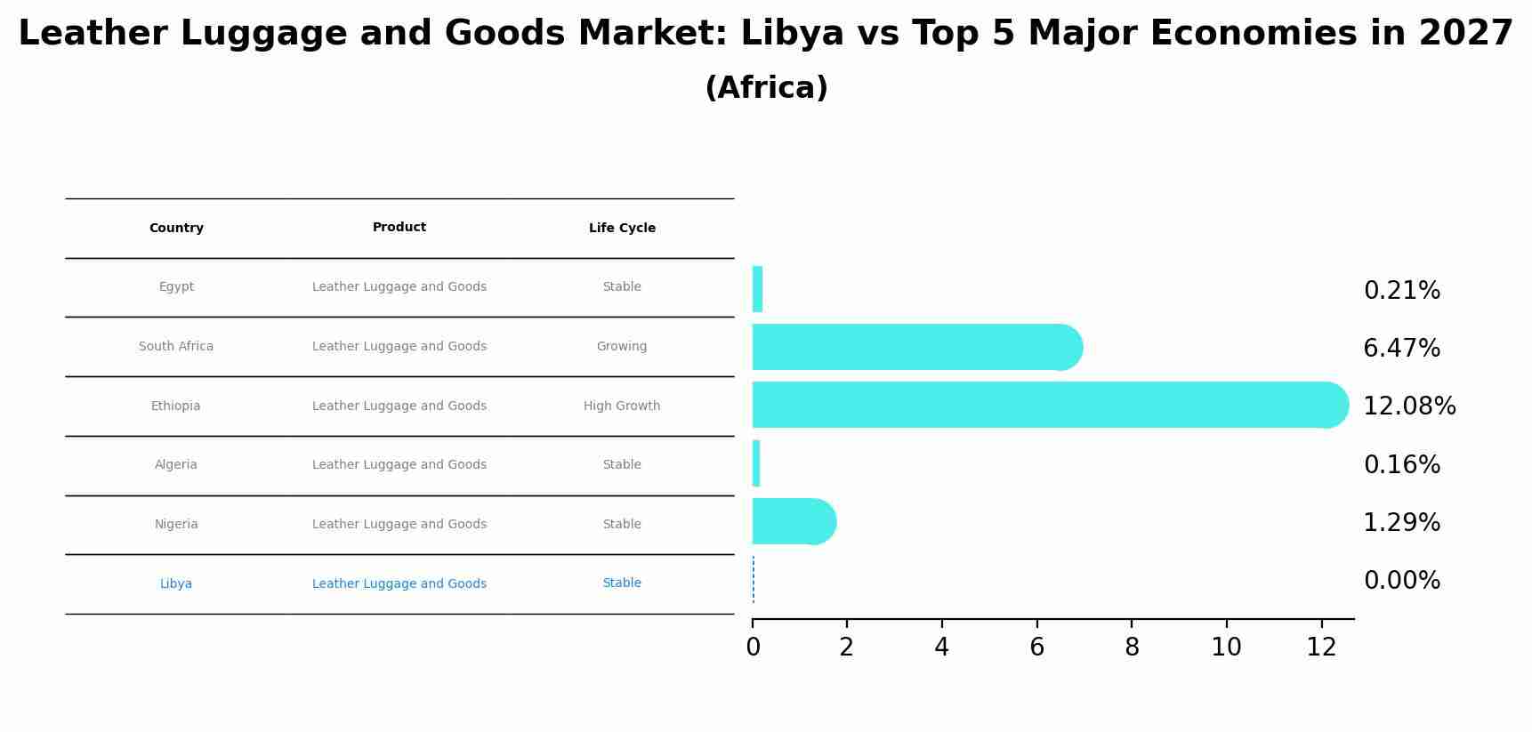 Leather Luggage and Goods Market: Libya vs Top 5 Major Economies in 2027 (Africa)