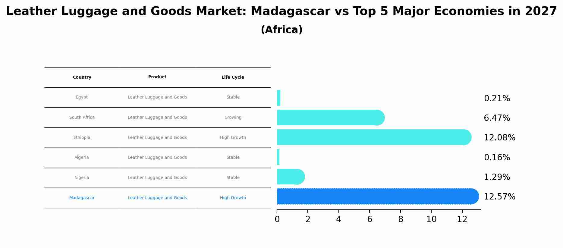 Leather Luggage and Goods Market: Madagascar vs Top 5 Major Economies in 2027 (Africa)