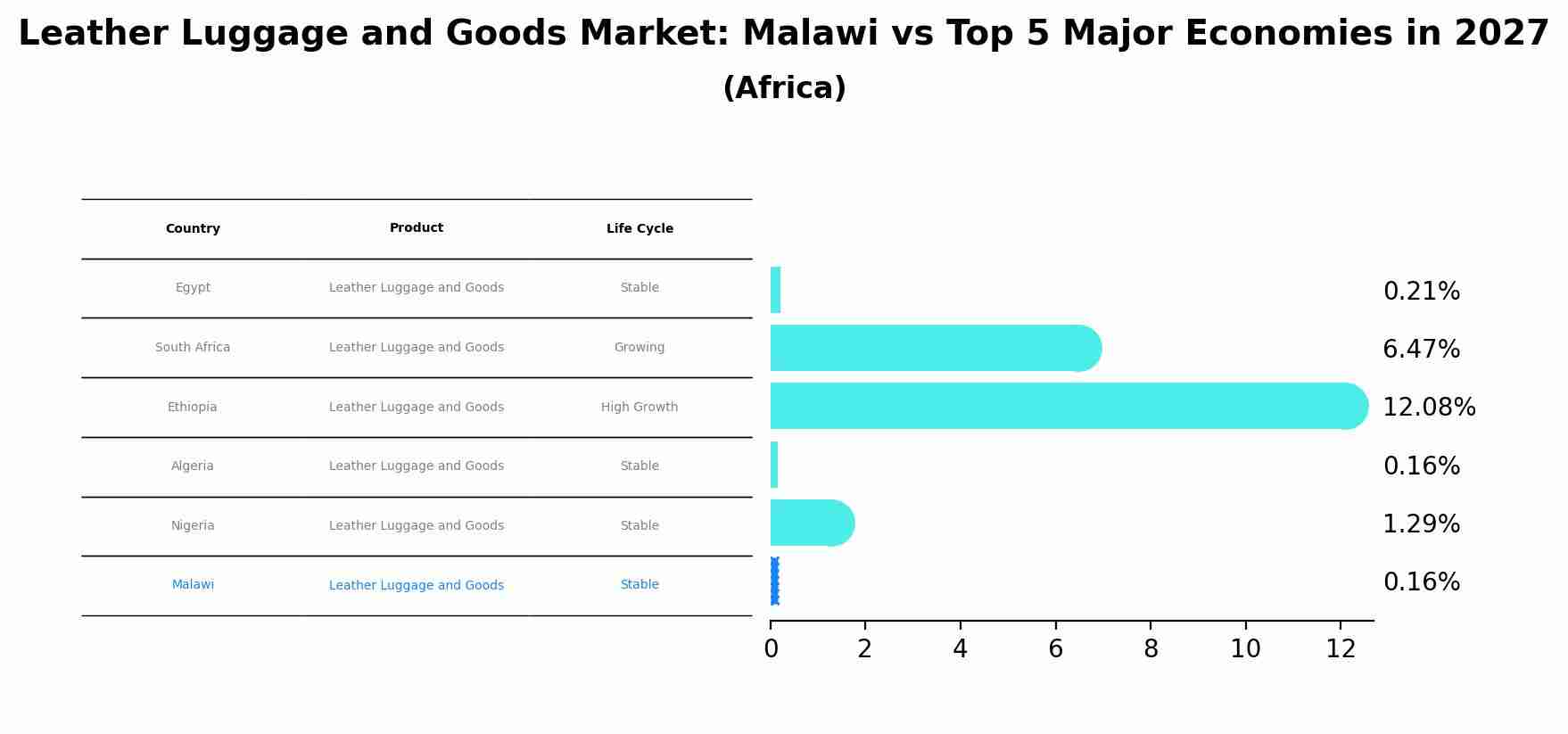 Leather Luggage and Goods Market: Malawi vs Top 5 Major Economies in 2027 (Africa)