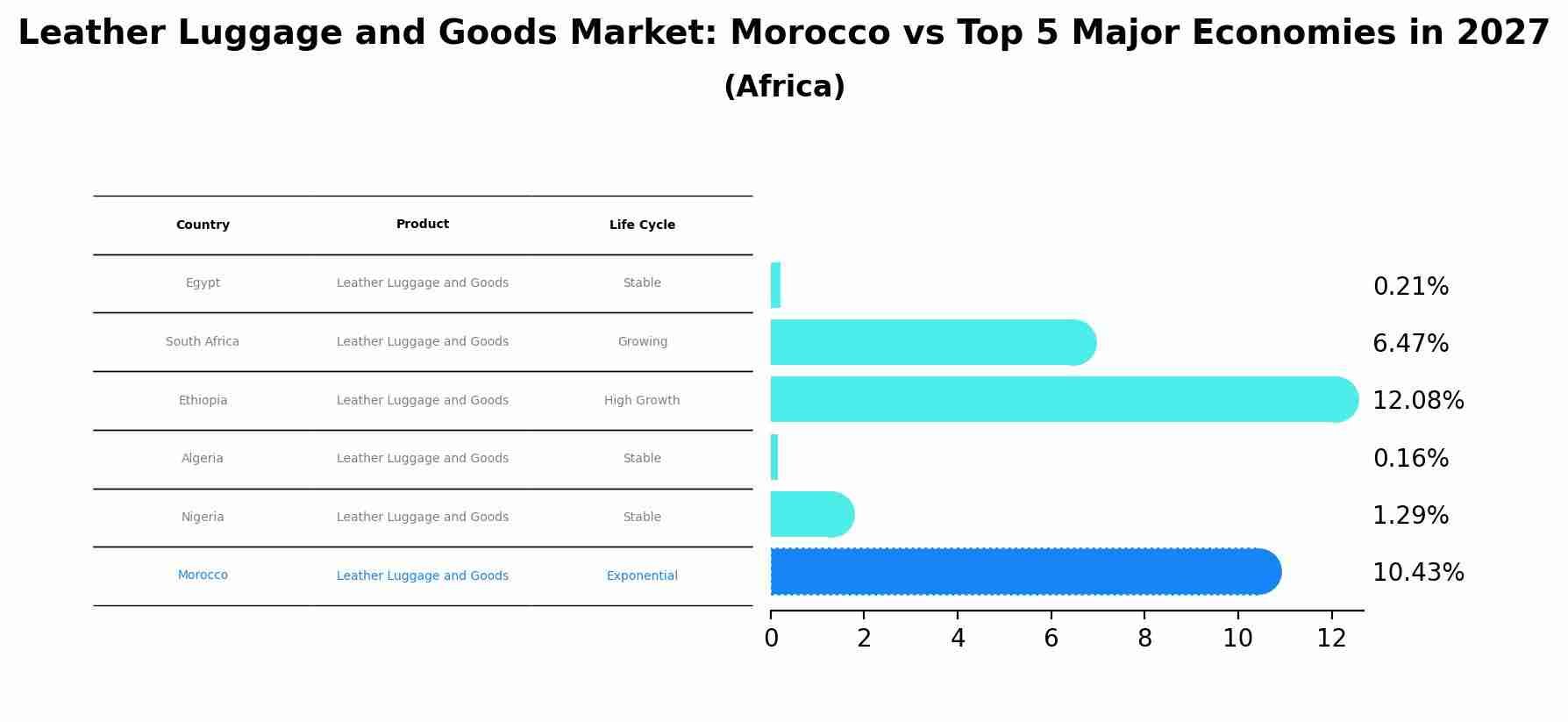 Leather Luggage and Goods Market: Morocco vs Top 5 Major Economies in 2027 (Africa)
