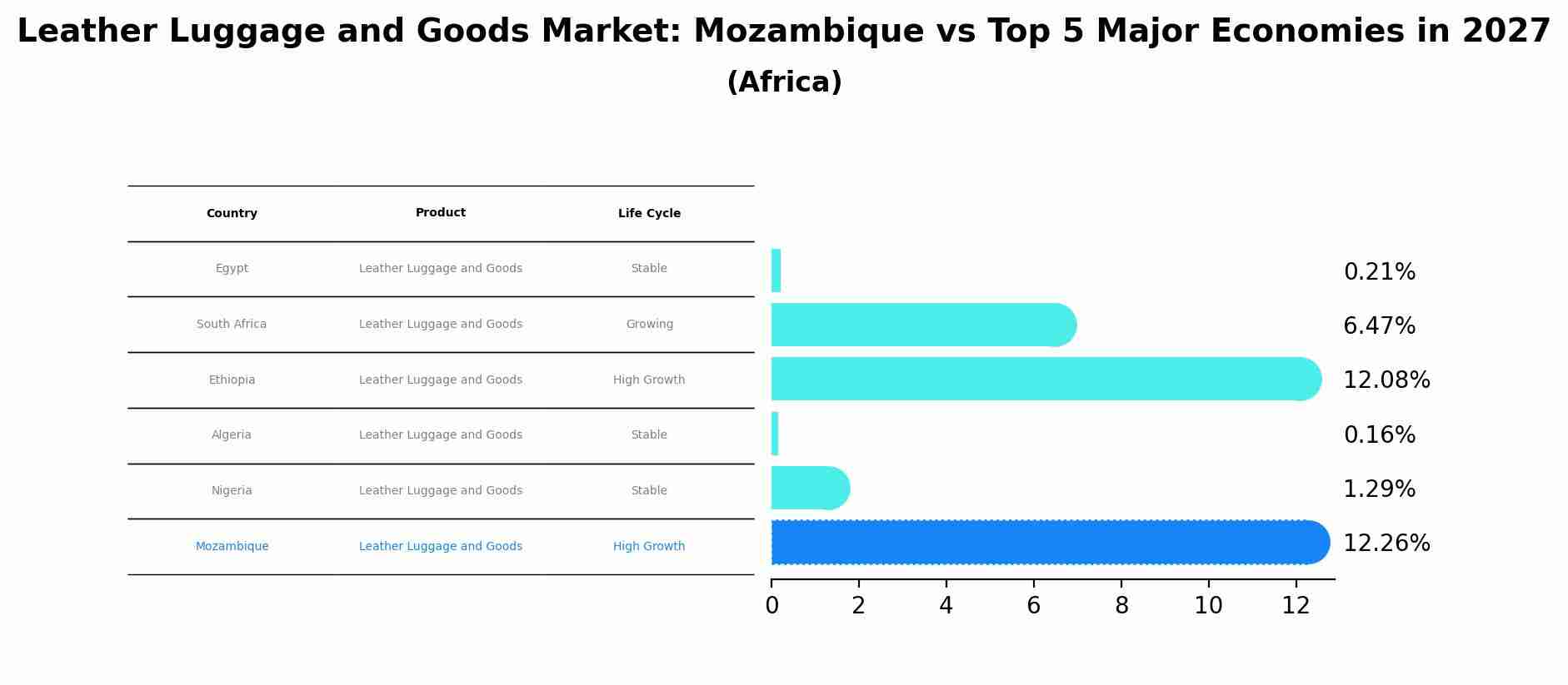 Leather Luggage and Goods Market: Mozambique vs Top 5 Major Economies in 2027 (Africa)