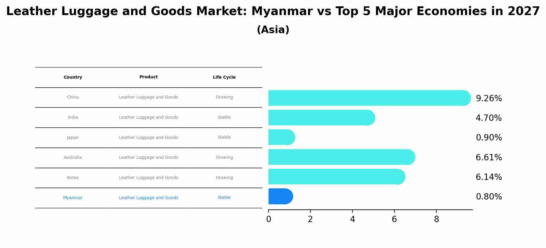 Leather Luggage and Goods Market: Myanmar vs Top 5 Major Economies in 2027 (Asia)