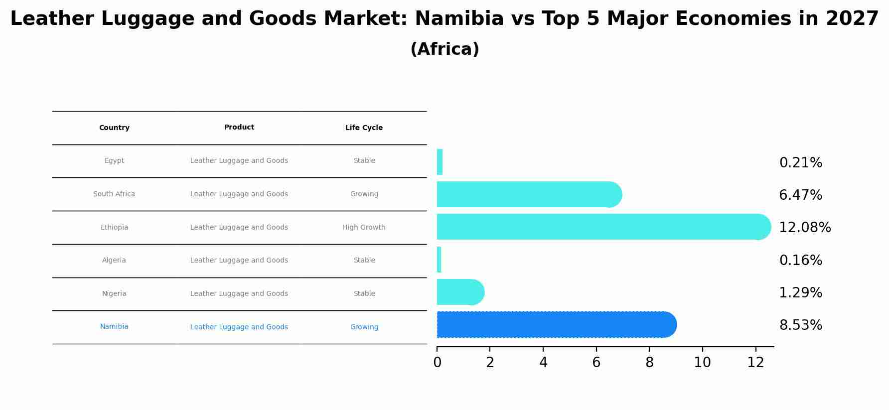 Leather Luggage and Goods Market: Namibia vs Top 5 Major Economies in 2027 (Africa)