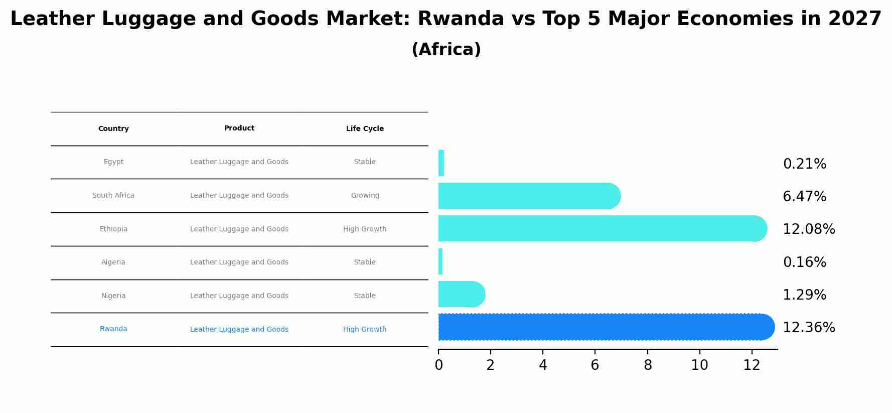 Leather Luggage and Goods Market: Rwanda vs Top 5 Major Economies in 2027 (Africa)