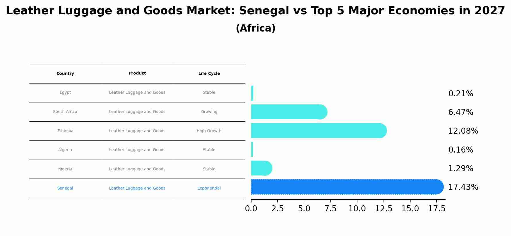 Leather Luggage and Goods Market: Senegal vs Top 5 Major Economies in 2027 (Africa)
