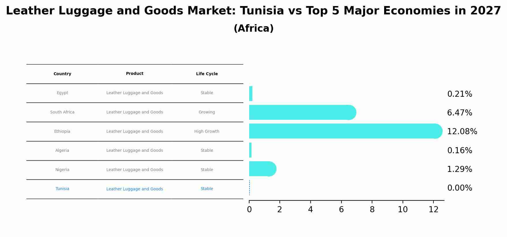 Leather Luggage and Goods Market: Tunisia vs Top 5 Major Economies in 2027 (Africa)