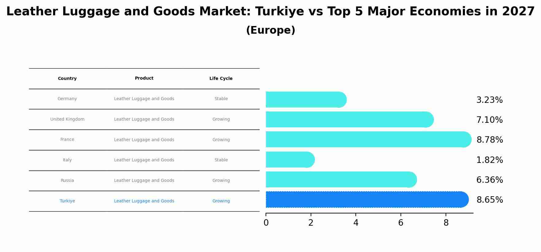 Leather Luggage and Goods Market: Turkiye vs Top 5 Major Economies in 2027 (Europe)