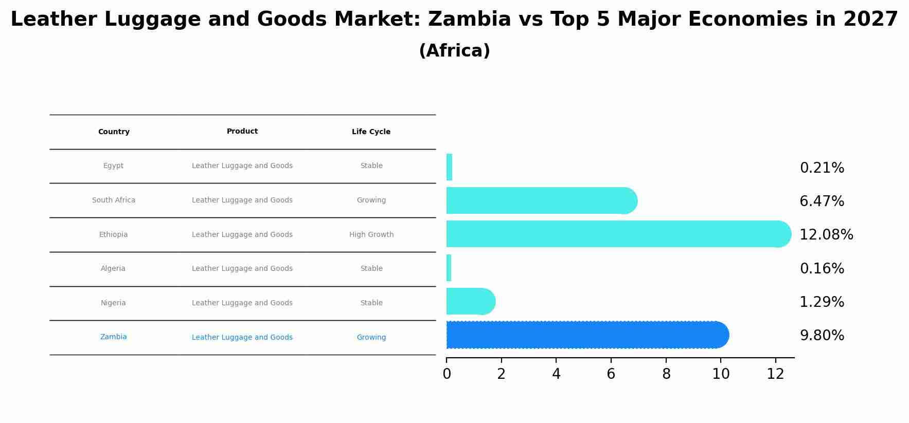 Leather Luggage and Goods Market: Zambia vs Top 5 Major Economies in 2027 (Africa)