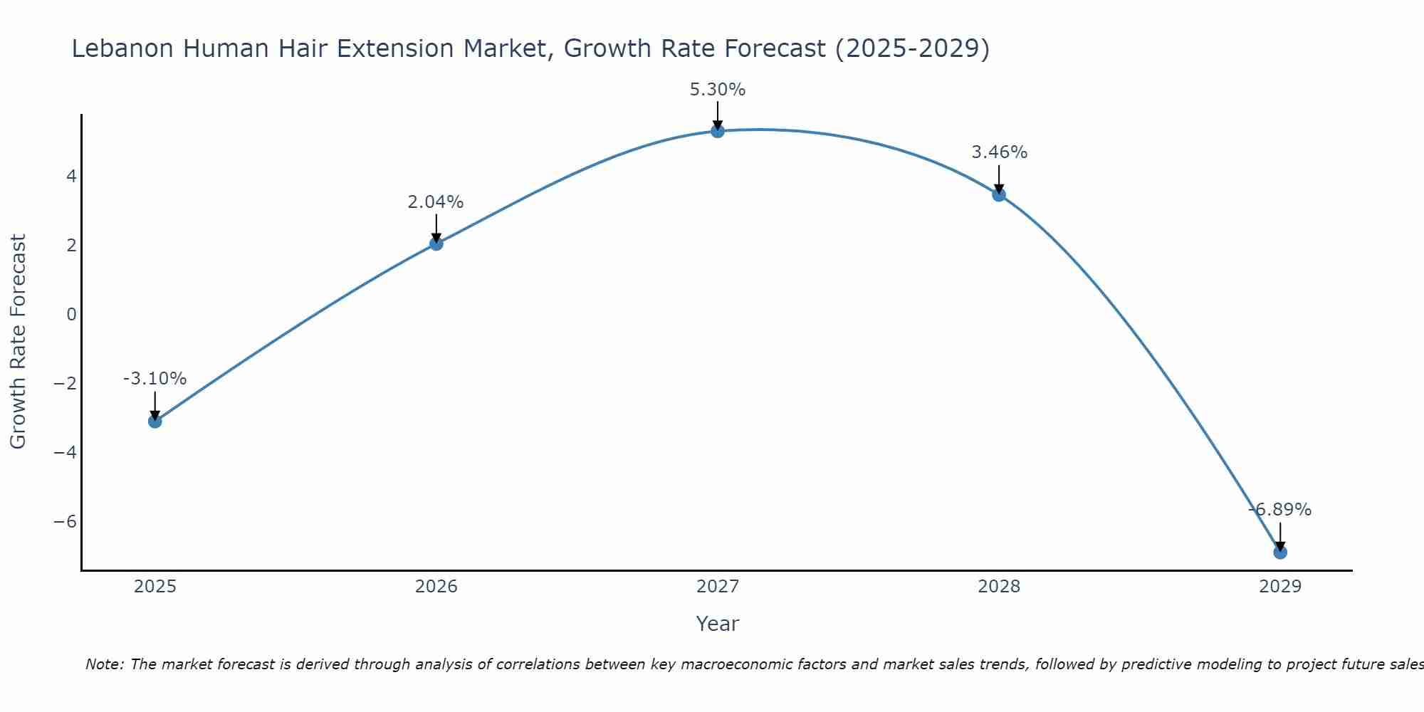 Lebanon Human Hair Extension Market Size Growth Rate