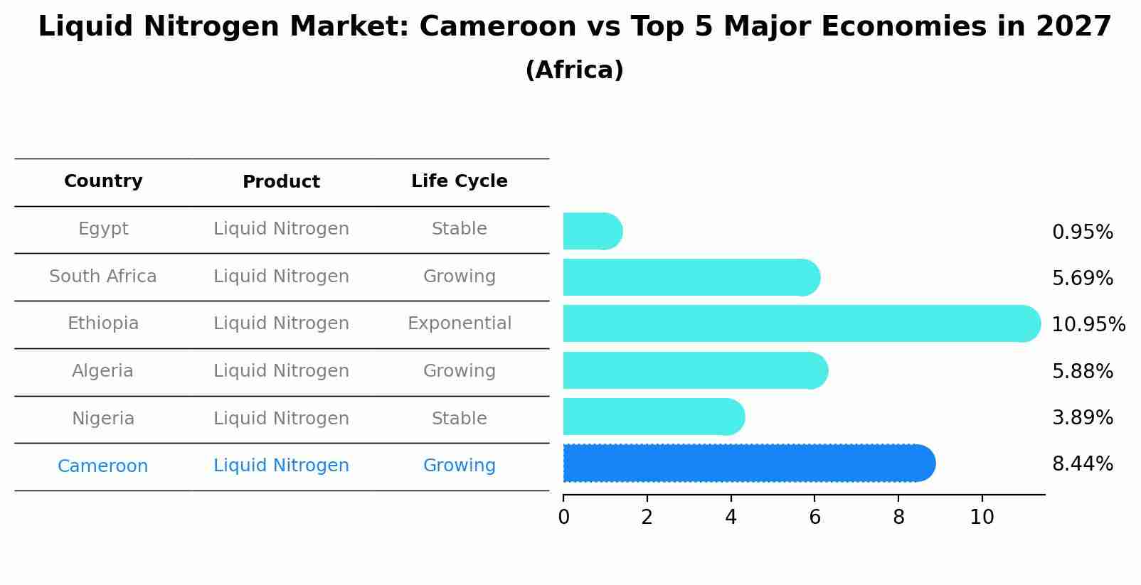 Liquid Nitrogen Market: Cameroon vs Top 5 Major Economies in 2027 (Africa)