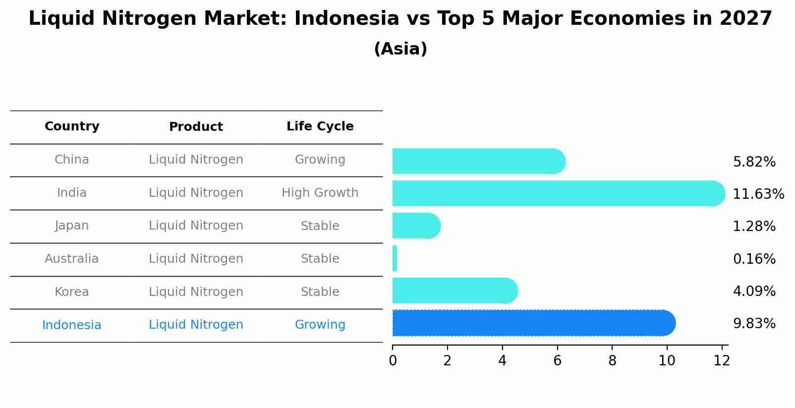 Liquid Nitrogen Market: Indonesia vs Top 5 Major Economies in 2027 (Asia)