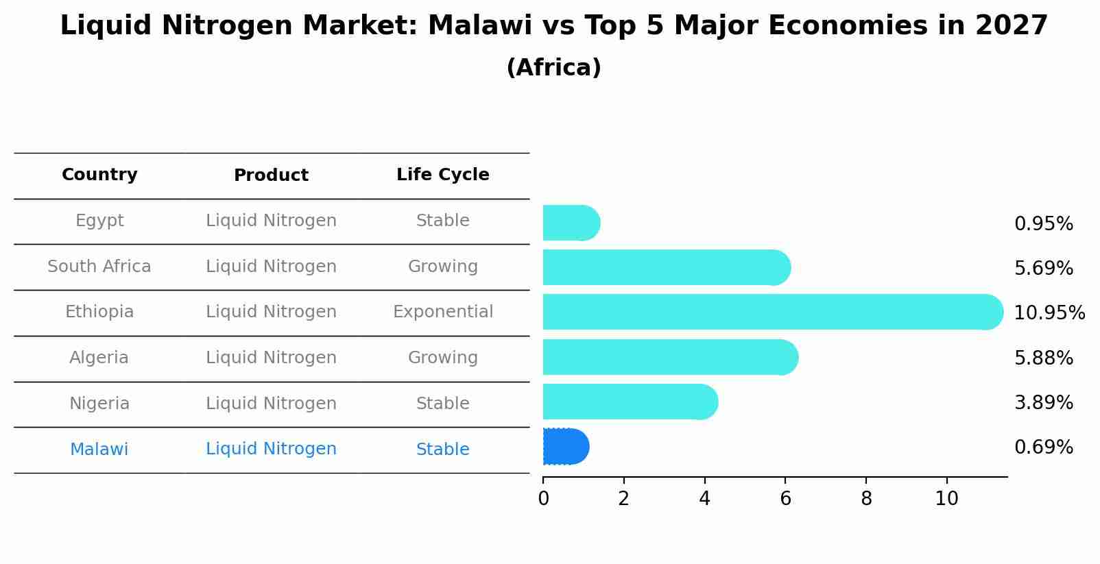 Liquid Nitrogen Market: Malawi vs Top 5 Major Economies in 2027 (Africa)