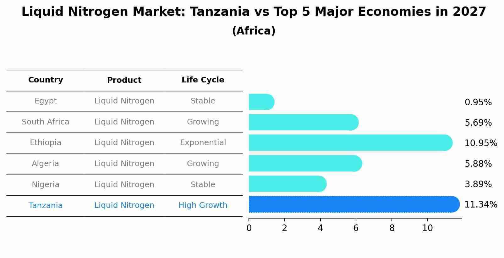 Liquid Nitrogen Market: Tanzania vs Top 5 Major Economies in 2027 (Africa)