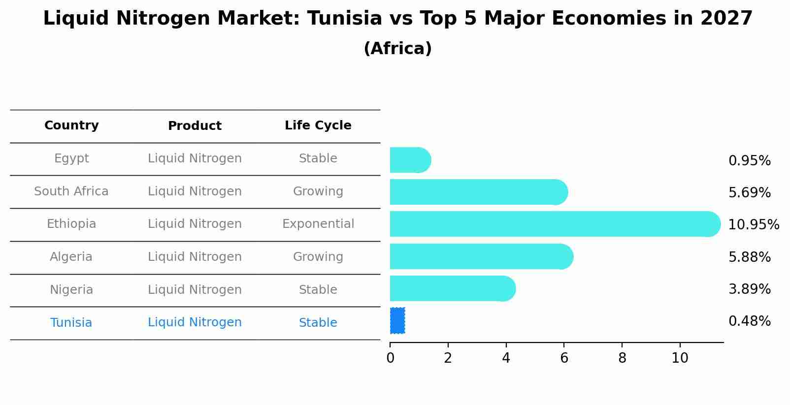 Liquid Nitrogen Market: Tunisia vs Top 5 Major Economies in 2027 (Africa)