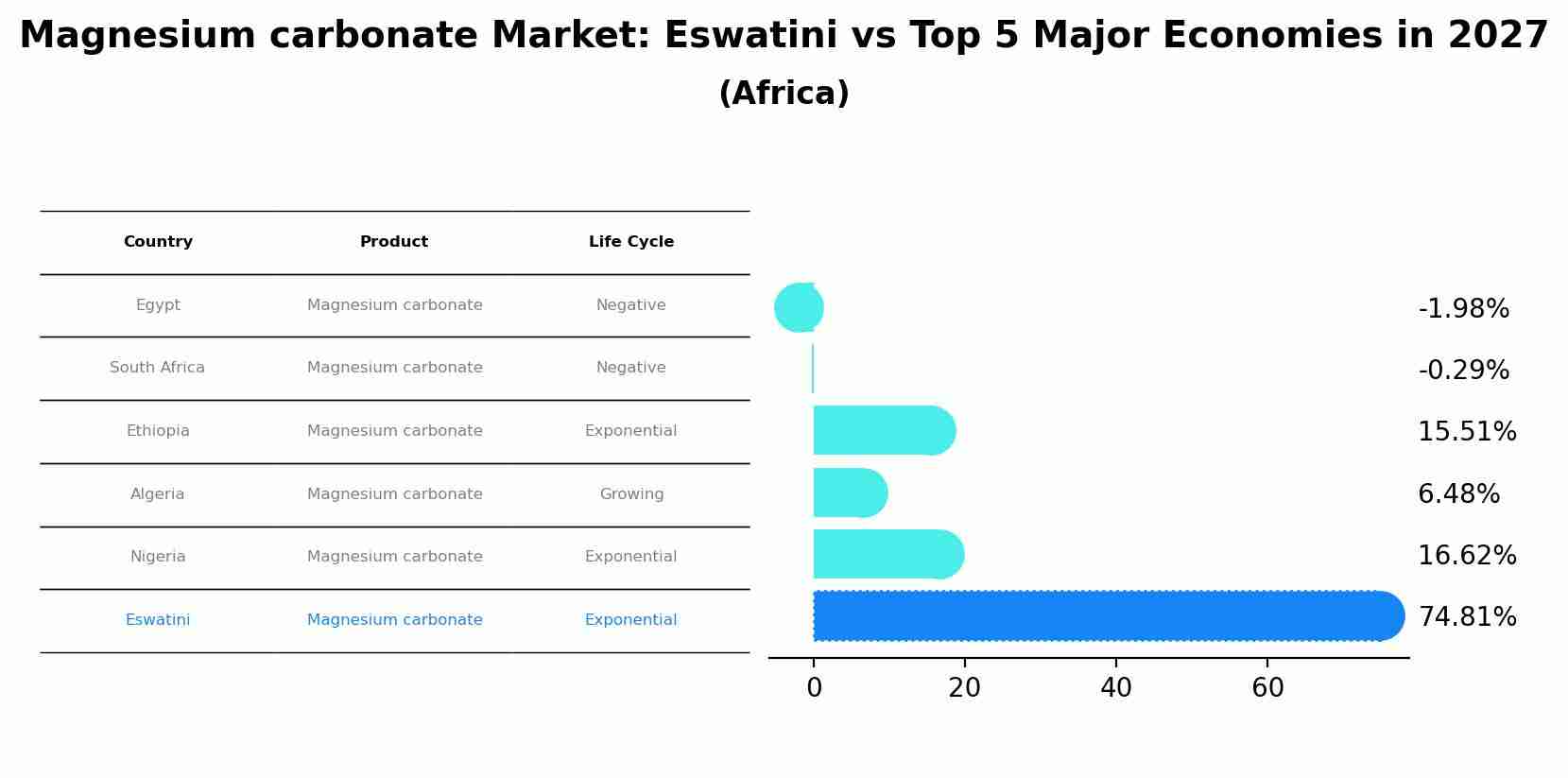 Magnesium carbonate Market: Eswatini vs Top 5 Major Economies in 2027 (Africa)