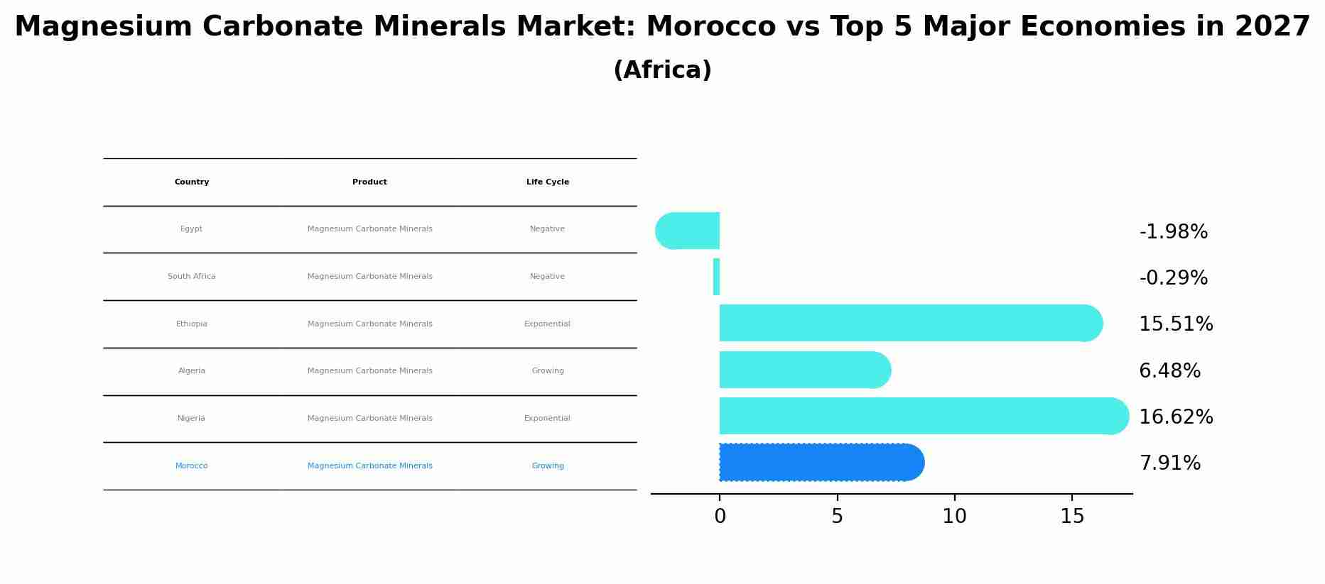 Magnesium Carbonate Minerals Market: Morocco vs Top 5 Major Economies in 2027 (Africa)
